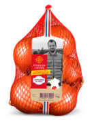 Oignon jaune Occitanie