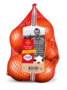 Oignon jaune Occitanie