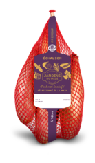 Echalion Premium
