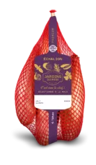 Echalion Premium
