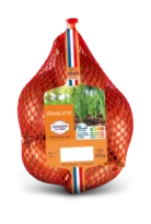 Echalote Cœur de marché